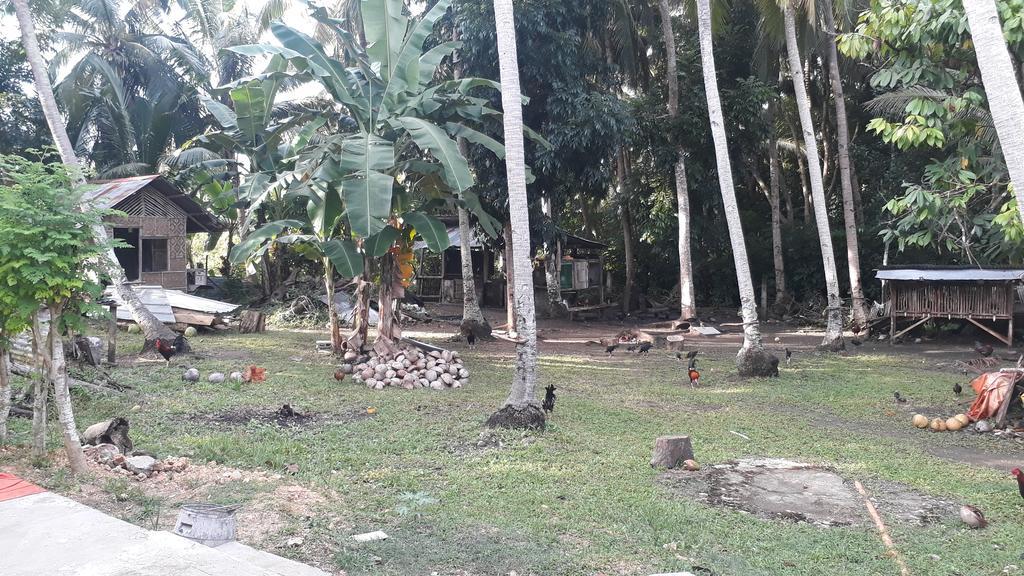 James Homestay Homestay *
